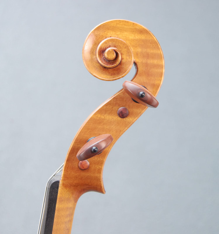 Scroll of a Helen Michetschläger Violin, one of the finest British Luthiers currently working. (side view)