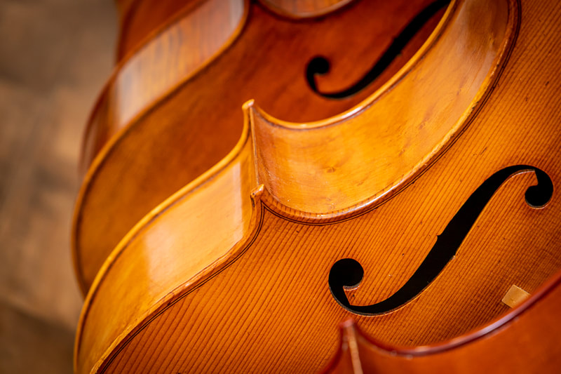 cellos on offer at stamford strings